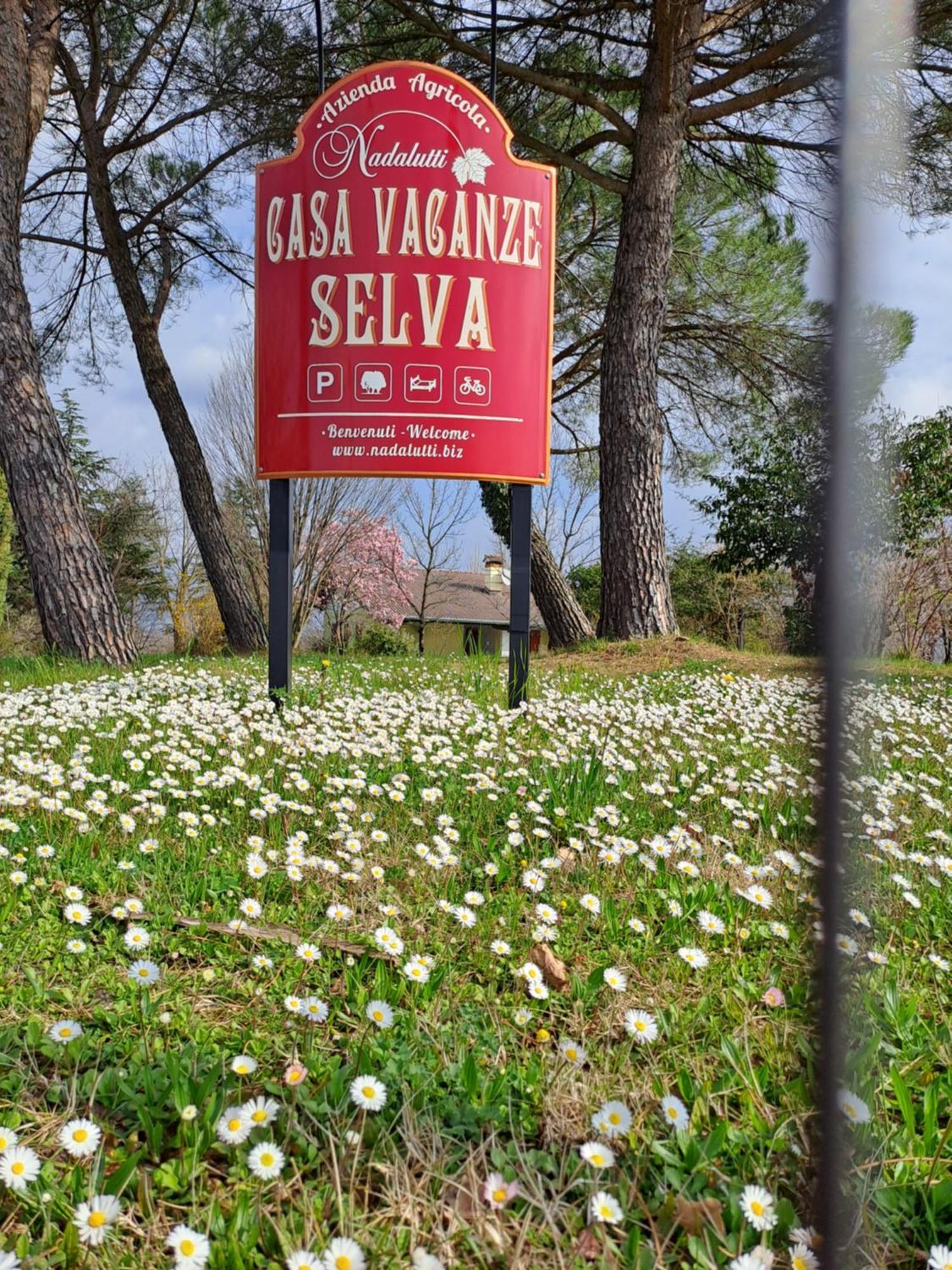 Casa Vacanze Selva Premariacco Exterior foto